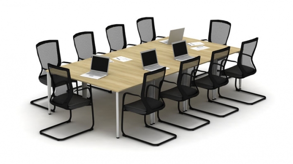 jurnal sedinta proza sedinta meeting