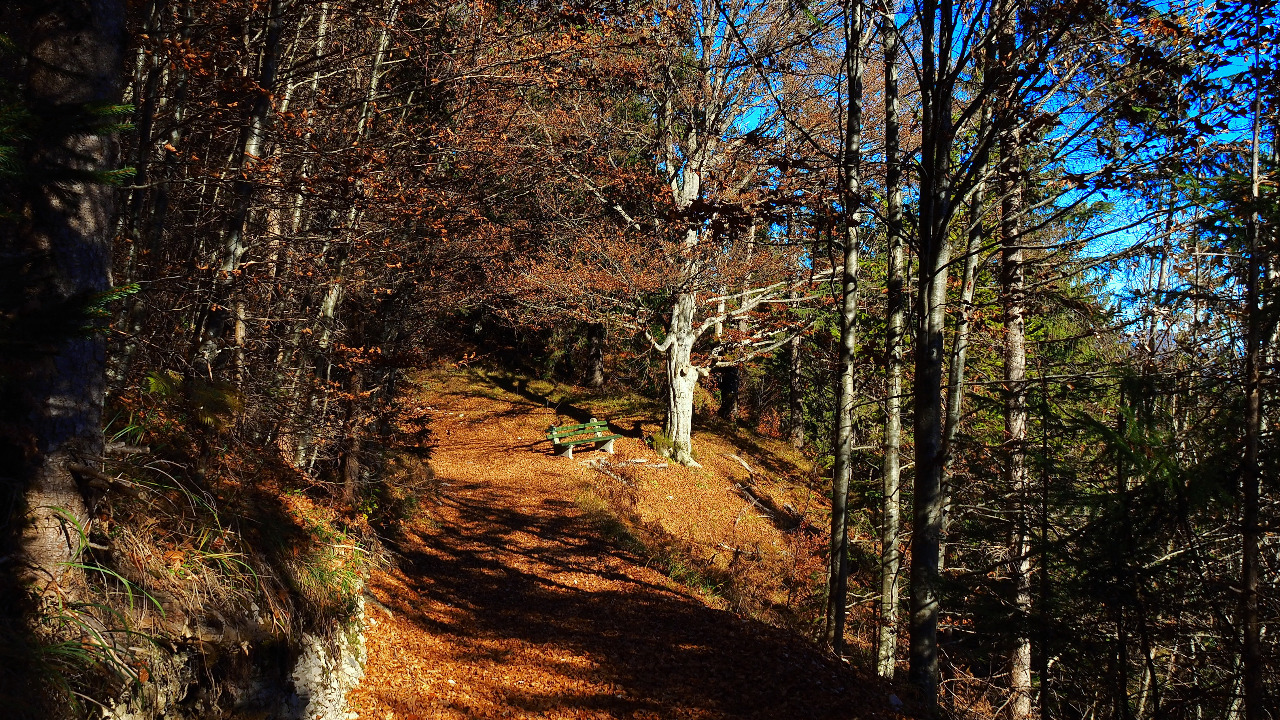 prieten